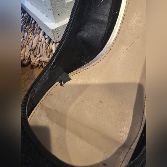 Jewel Badgley Mischka Velvet - Picture 16 of 17